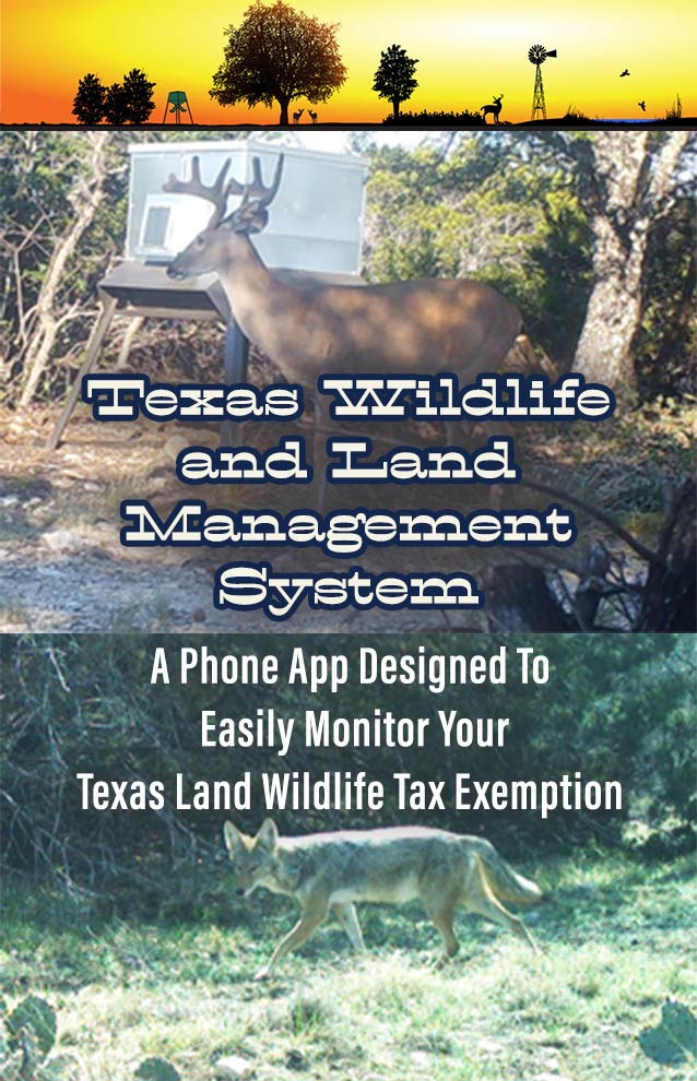 texas wildlife land tax exemption system